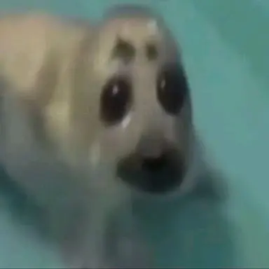 Profile image of 노브