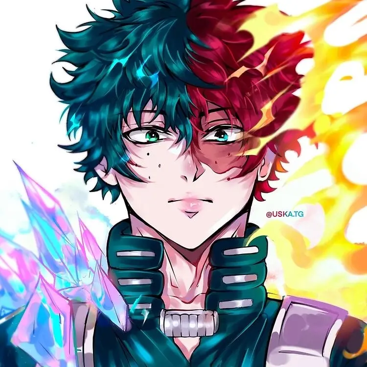 Max5173의 MHA Todoroki Fam
