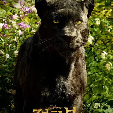 Profile image of 바기라
