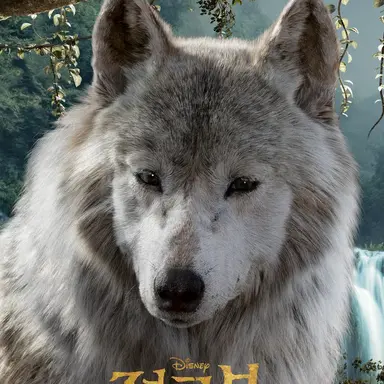 Profile image of 락샤