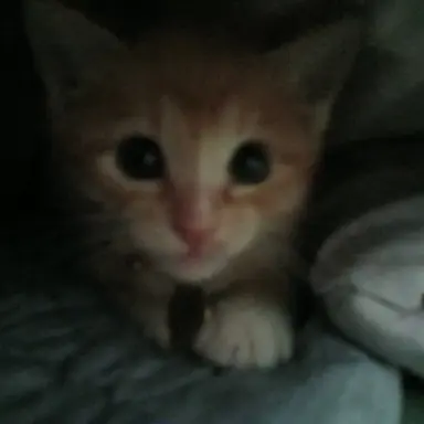 Profile image of 친구