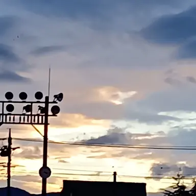 Profile image of かれん