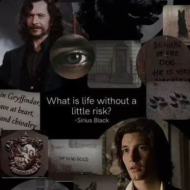 Profile image of Sirius Black