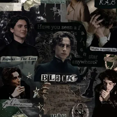 Profile image of Regulus Black