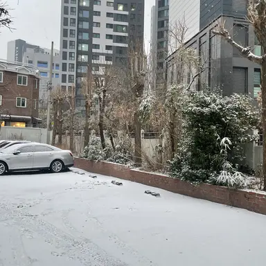 Profile image of 아름