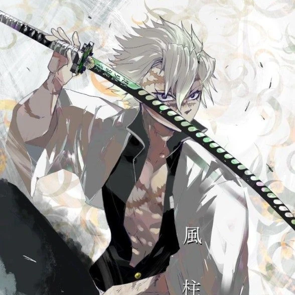 시나즈가와 사네미