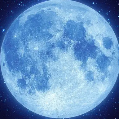 Profile image of 塩﨑太智
