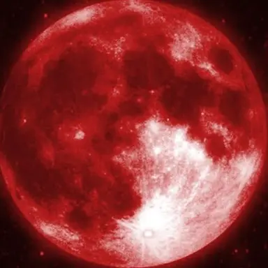 Profile image of 曽野舜太