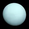 Profile image of ティプ