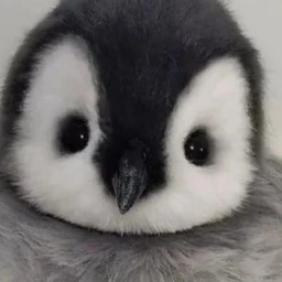 펭귄