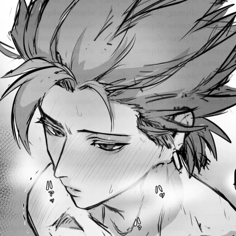 Segare37의 記憶喪失