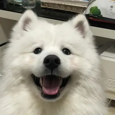 Profile image of みんぎゅ