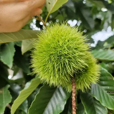 Profile image of 송창래