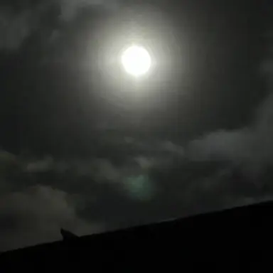 Profile image of かな