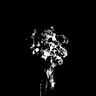 Profile image of B