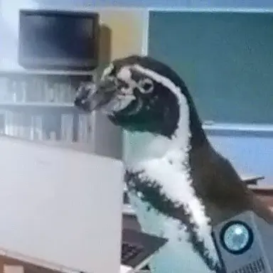 Profile image of 松本