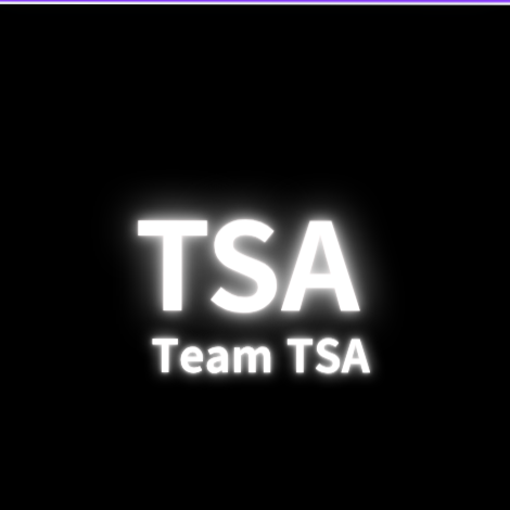 팀 TSA 대표 이미지