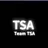 팀 TSA