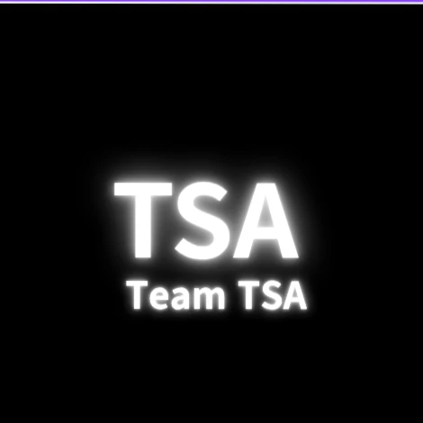 팀 TSA