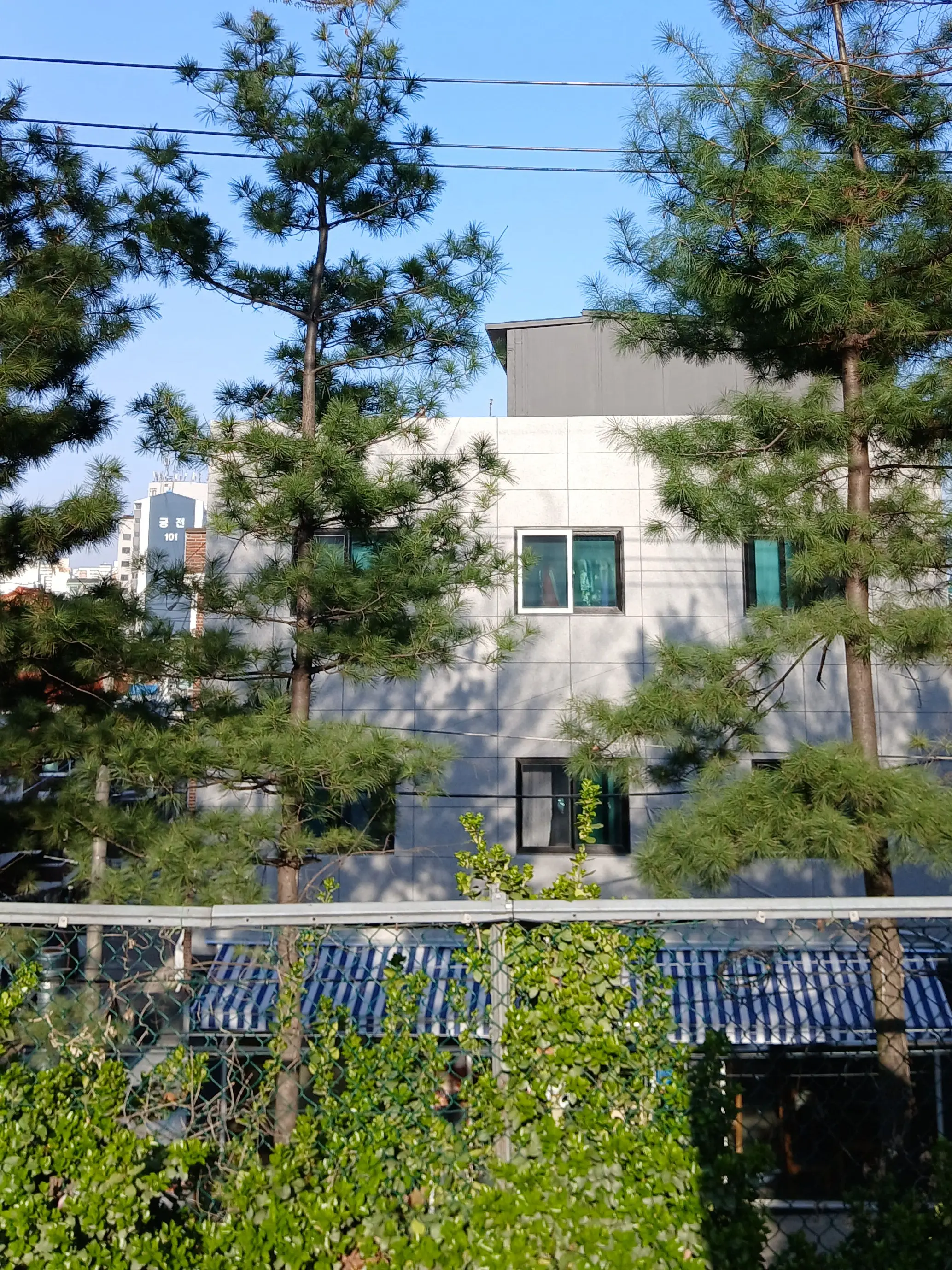 ShinyGenet5565의 유저졸업앨범을몰래가져옴
