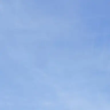 Profile image of 잠뜰