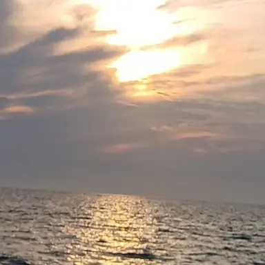 Profile image of 덕개