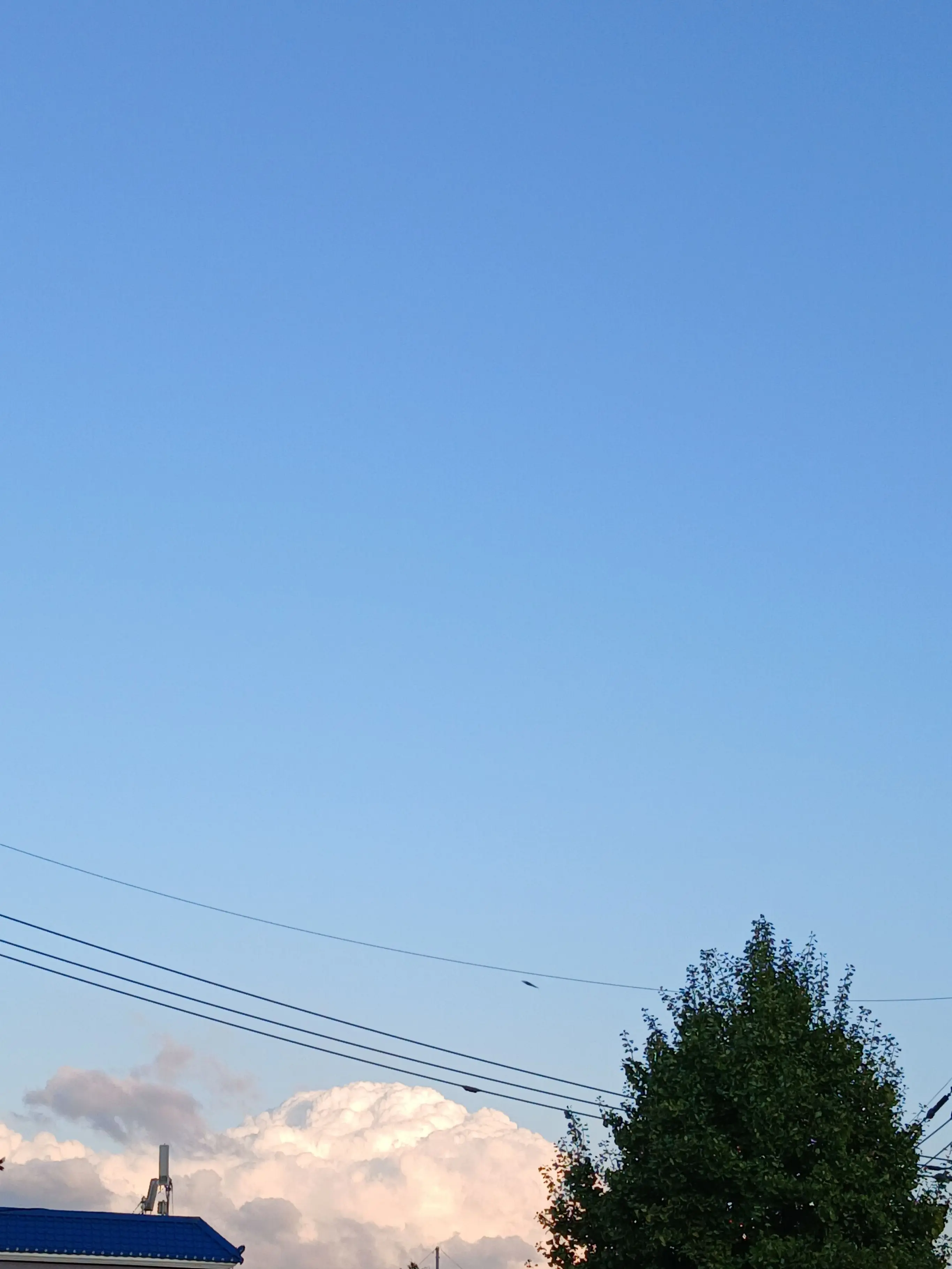 ShinyGenet5565의 유저졸업앨범을몰래가져옴