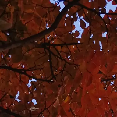 Profile image of 라더