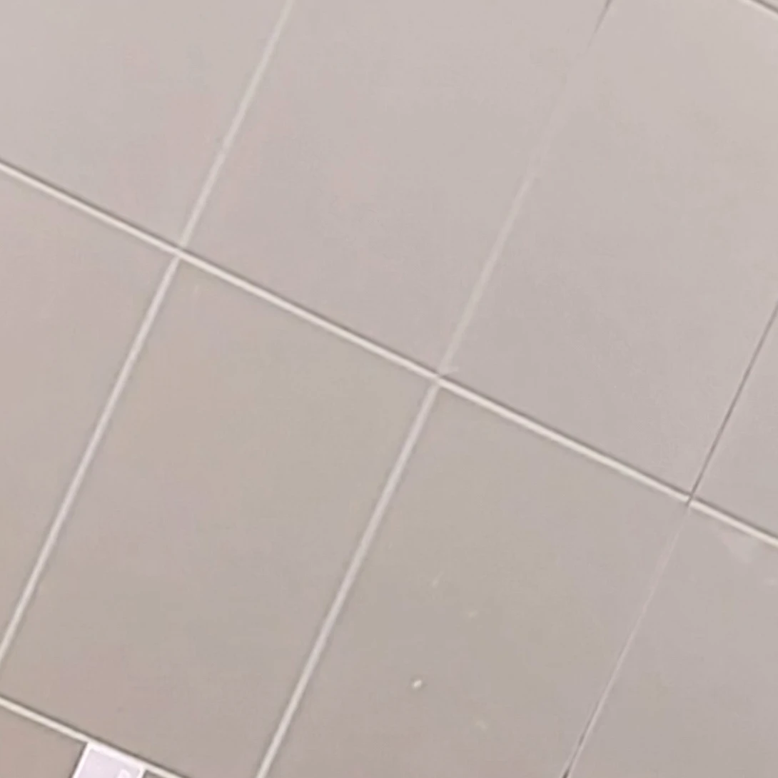 ㅂㅌ남