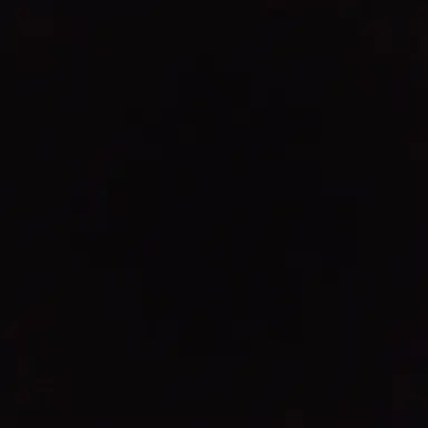 Profile image of チャンス