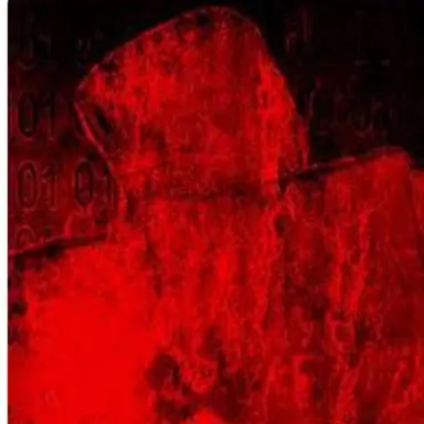 Profile image of 쿨키드