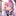 さくらこ
