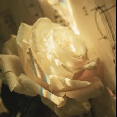 Profile image of 정공룡