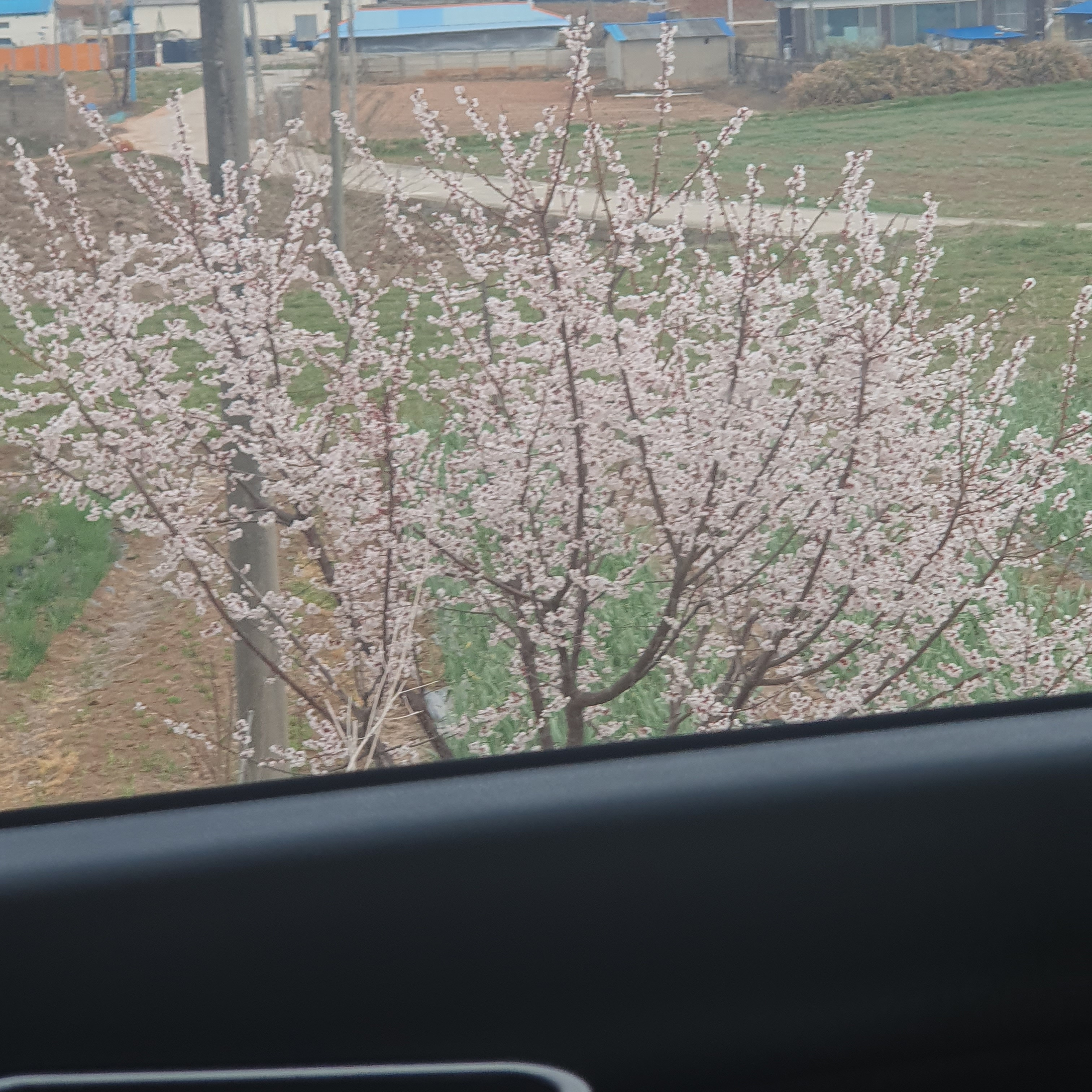 꽃미남학교 대표 이미지