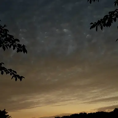 Profile image of 보겸