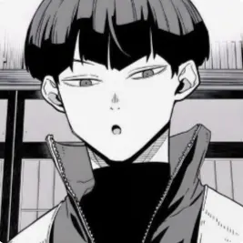 Profile image of 호시나 소우시로