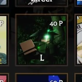 Profile image of L