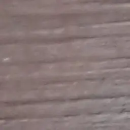 Profile image of 이찬영