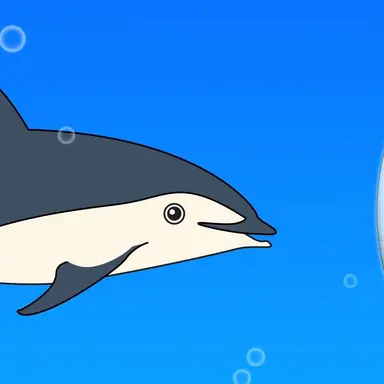 Profile image of 낫돌고래