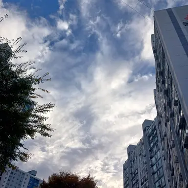 Profile image of 로베