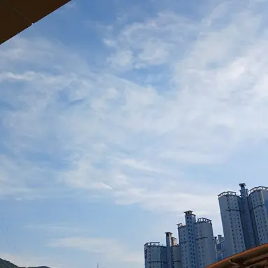 Profile image of 싸이클