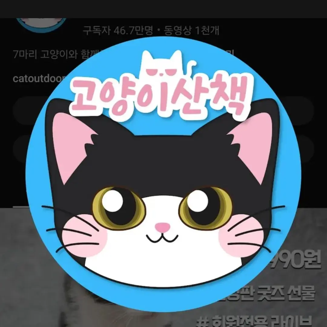 HumaneGrebe8239의 고양이산책