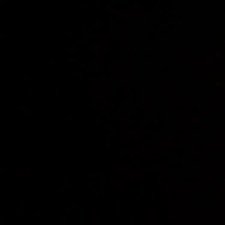 xx___의 ねんね