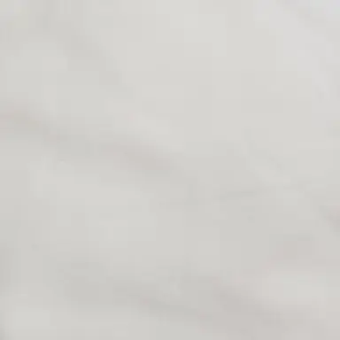 Profile image of 이노스케