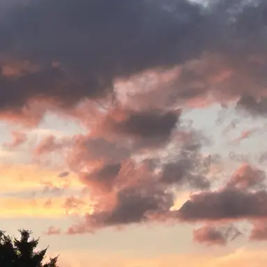 Profile image of アンドチーム