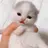 민정