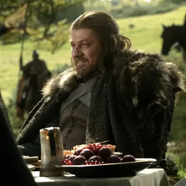 Profile image of Ned Stark