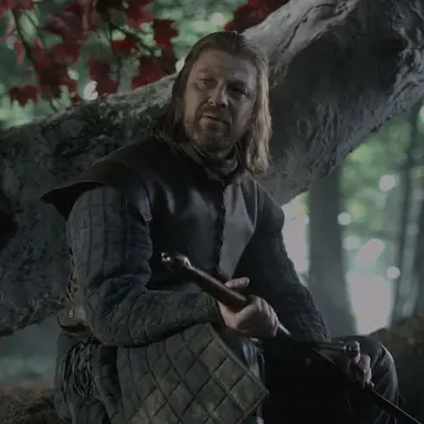 Profile image of Ned Stark