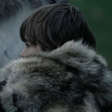 Profile image of Bran Stark