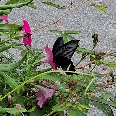 Profile image of 유튭중